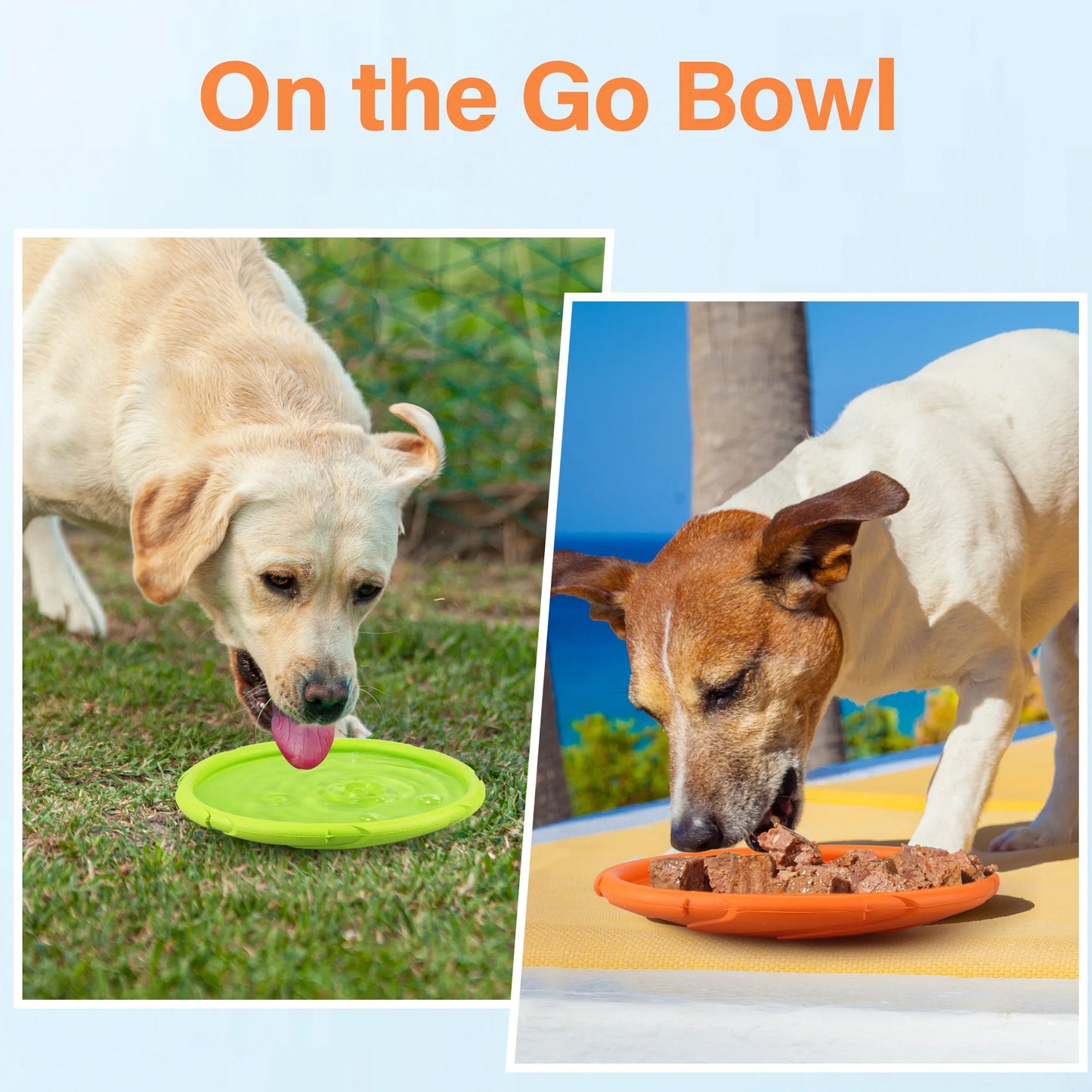 Dog Flying Disc Natural Rubber Floating Saucer Toy For Water