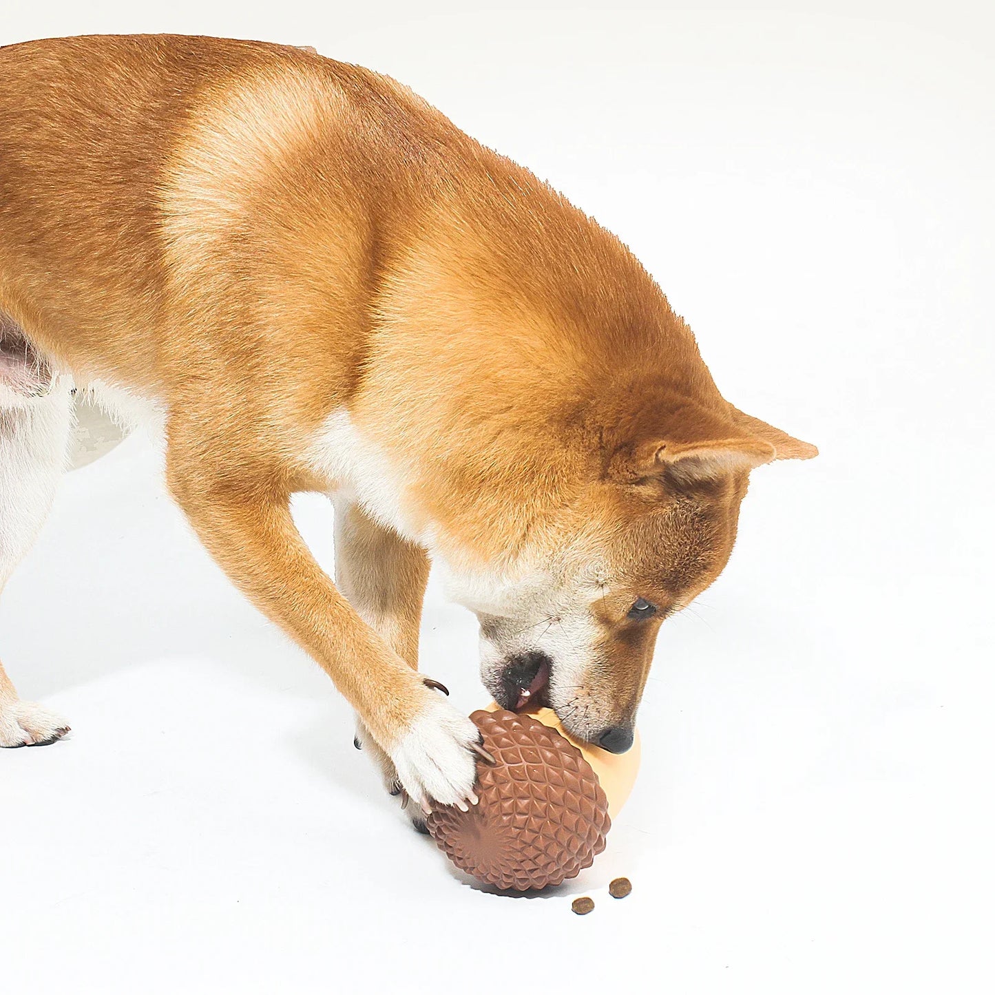 Durable Non Toxic Silicone Acorn Dog Toy Interactive Puzzle SlowFeedingChewTeethCleaning