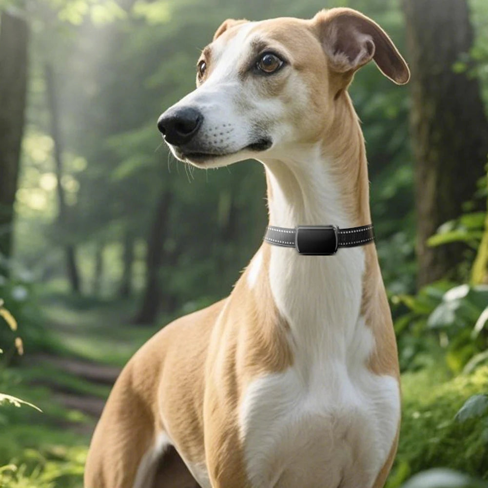 Hign-concerned Pet GPS Tracker for Dogs and Cats Collar
