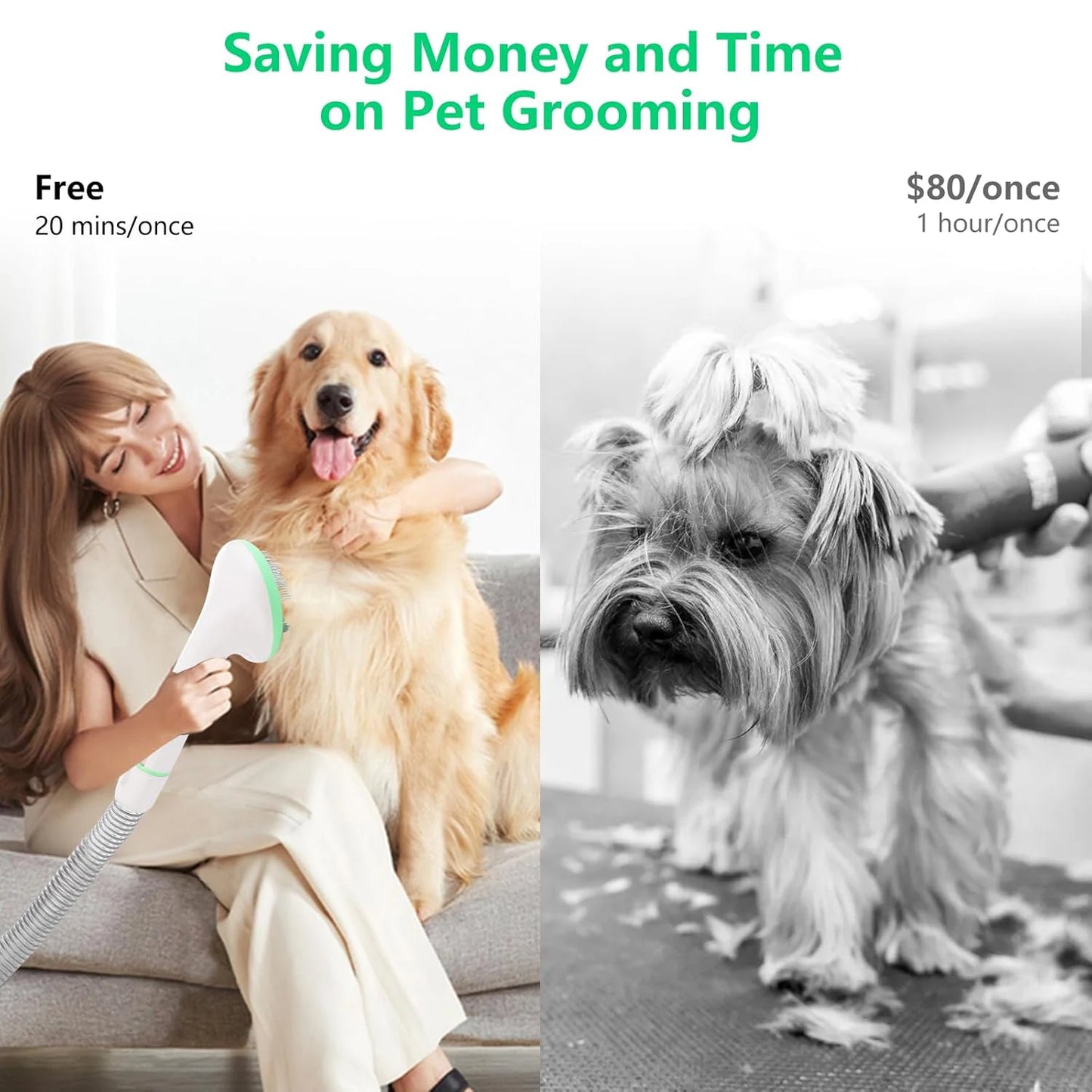 DishyKooker Pet Grooming Kit With Quiet Vacuum And Five Tools