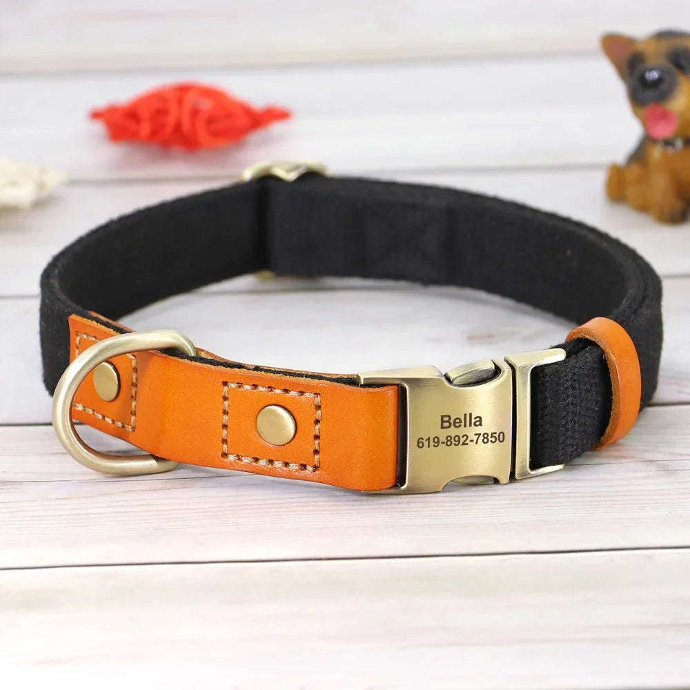 Nylon Dog Collar And Leash Set With Engraved Nameplate