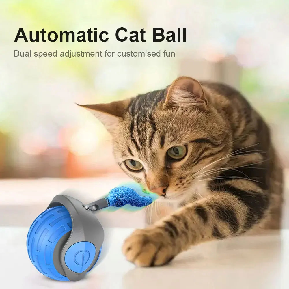Shunmaii Cat Interactive Ball Toys Rechargeable Teaser Toy