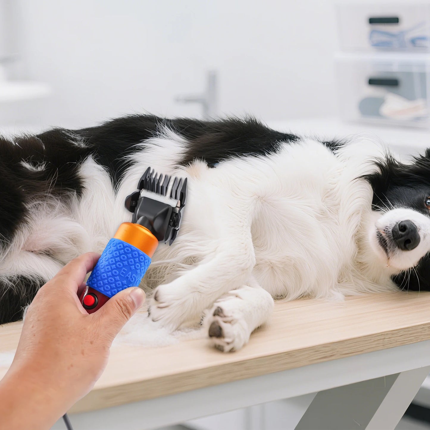 Professional Dog And Cat Hair Clipper Kit With Detachable Blades