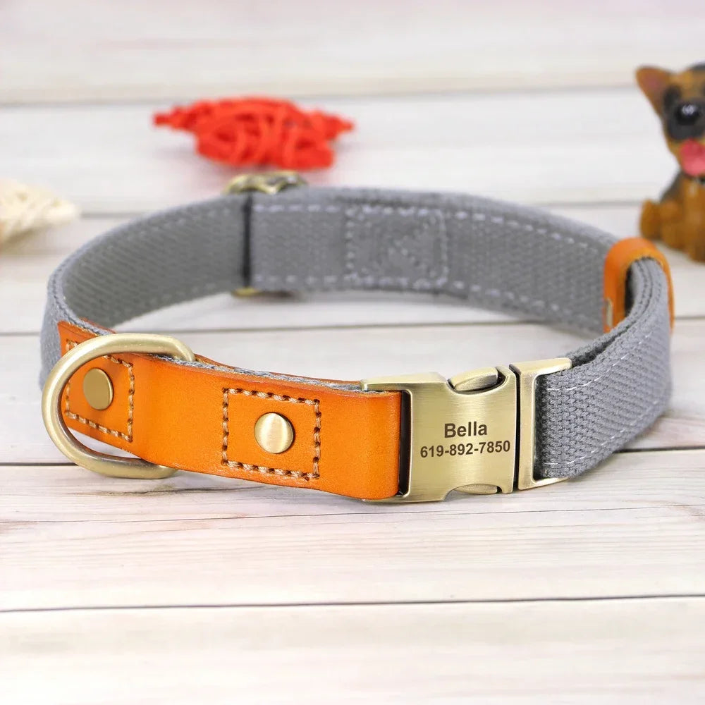 Nylon Dog Collar And Leash Set With Engraved Nameplate