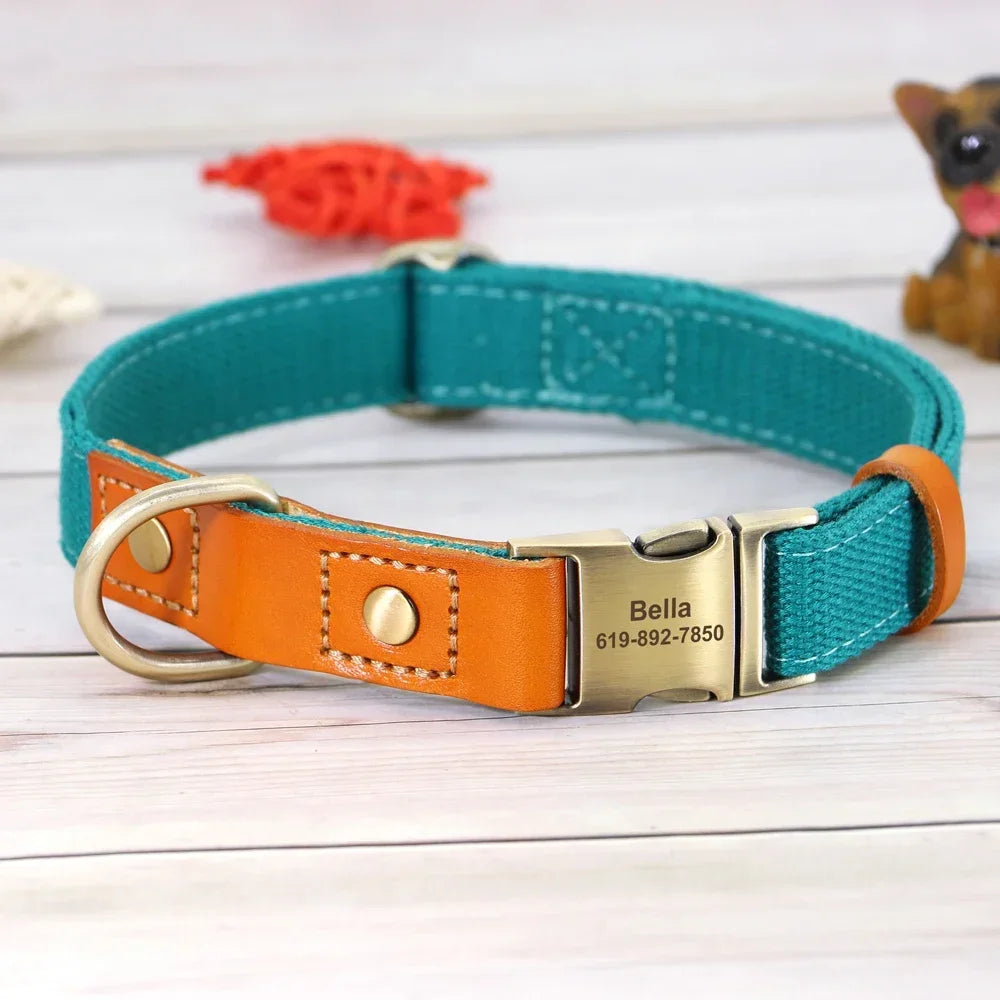 Nylon Dog Collar And Leash Set With Engraved Nameplate