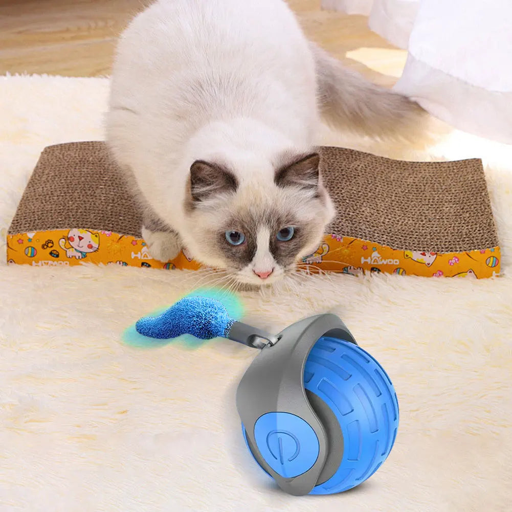 Shunmaii Cat Interactive Ball Toys Rechargeable Teaser Toy