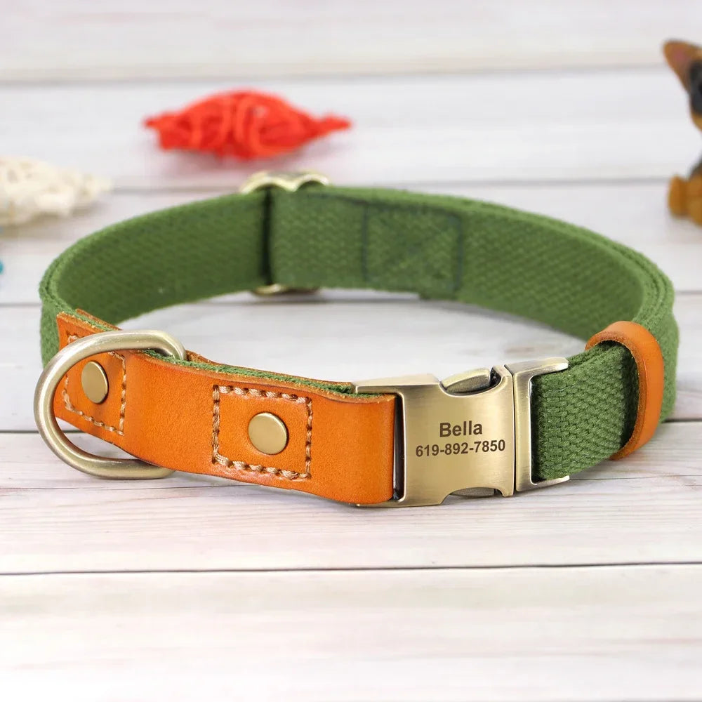 Nylon Dog Collar And Leash Set With Engraved Nameplate