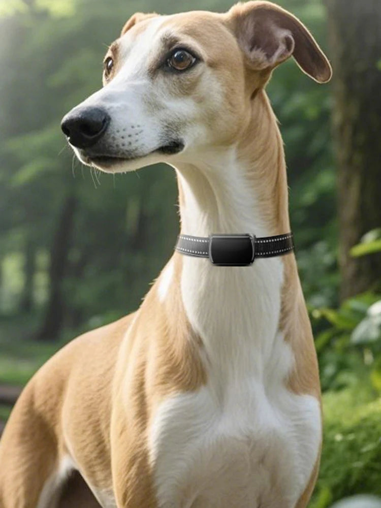 Pet GPS Tracker with Adjustable Collar Smart Pet Locator Cat Tracker for Dogs and Cats