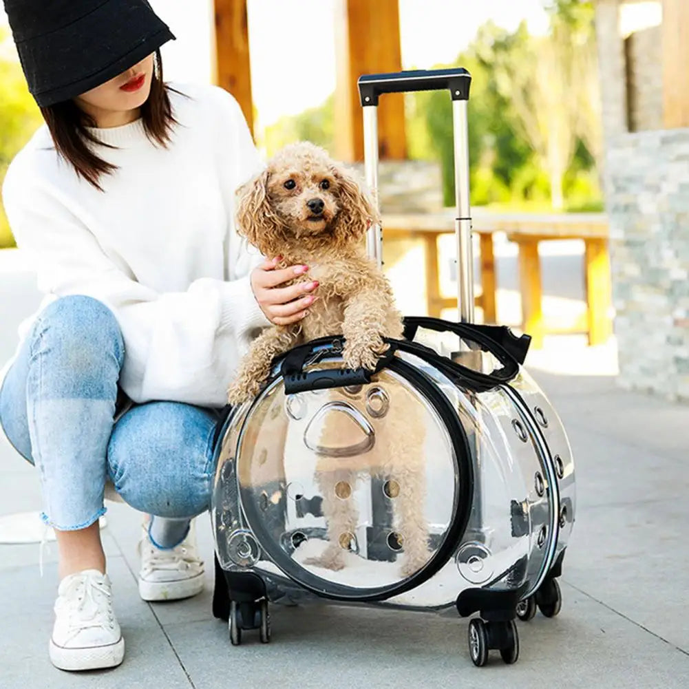 Telescopic Rod Pet Carrier Backpack for Travel With Ventilation Holes