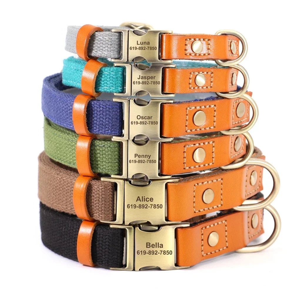 Nylon Dog Collar And Leash Set With Engraved Nameplate