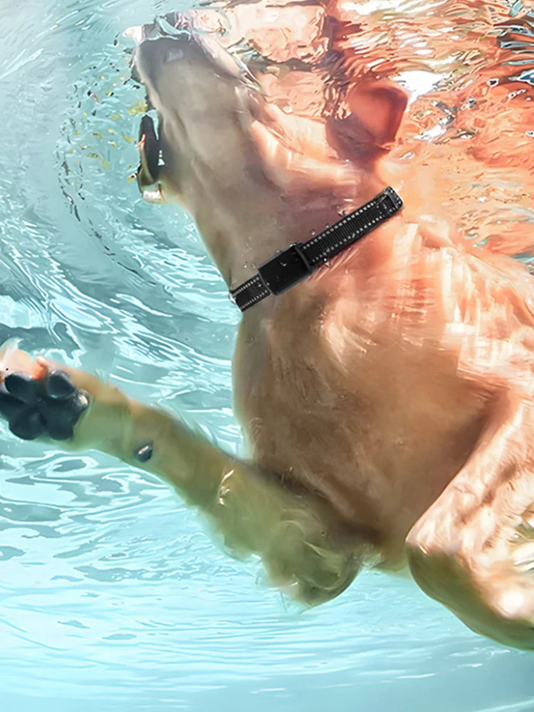 Hign-concerned Pet GPS Tracker for Dogs and Cats Collar